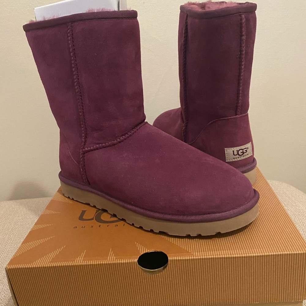 UGG short boot in Aster-NWT sticker